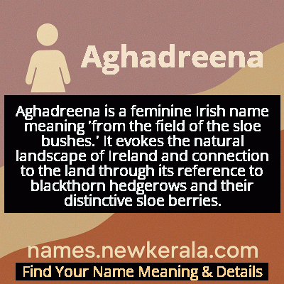 Aghadreena Name Meaning and Origin
