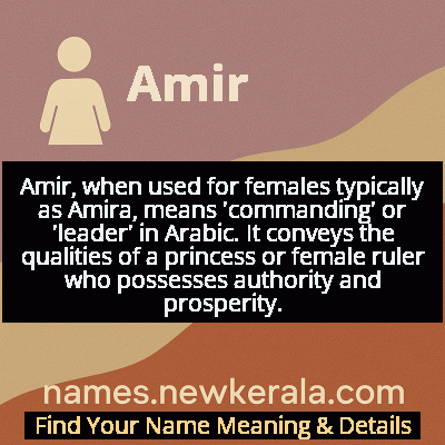 Amir Name Meaning and Origin
