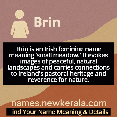 Brin Name Meaning and Origin