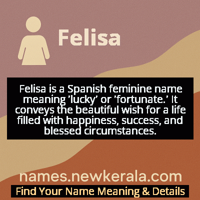 Felisa Name Meaning and Origin
