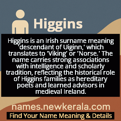 Higgins Name Meaning and Origin