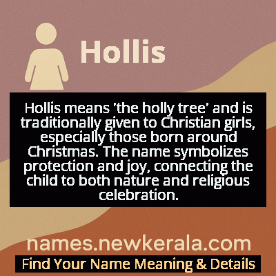 Hollis Name Meaning and Origin