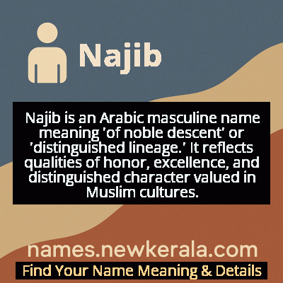 Najib Name Meaning and Origin