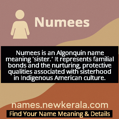 Numees Name Meaning and Origin