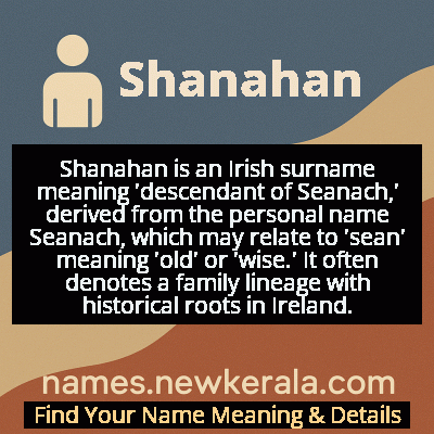 Shanahan Name Meaning and Origin