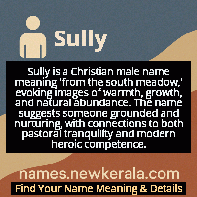 Sully Name Meaning and Origin
