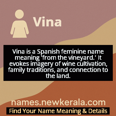 Vina Name Meaning and Origin