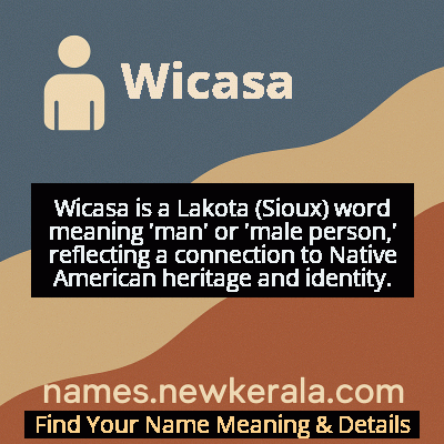 Wicasa Name Meaning and Origin